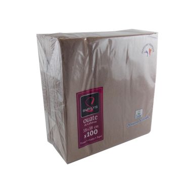 100 Serviettes Ouate de Cellulose Argile