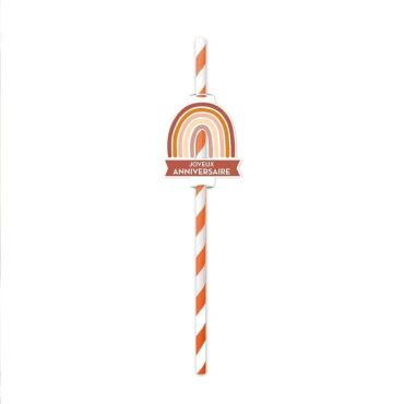 Pack de 12 pailles - Joyeux Anniversaire - Collection Terracotta | jourdefete.com