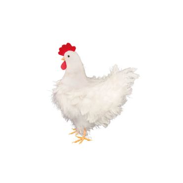 Poule blanche à plumes de 32 cm | jourdefete.com