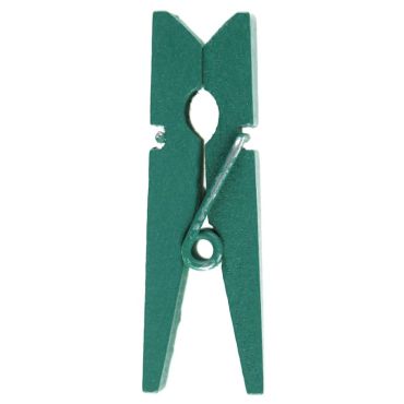 Un lot de 12 petites pinces en bois de couleur vert eucalyptus pour égayer votre table | jourdefete.com