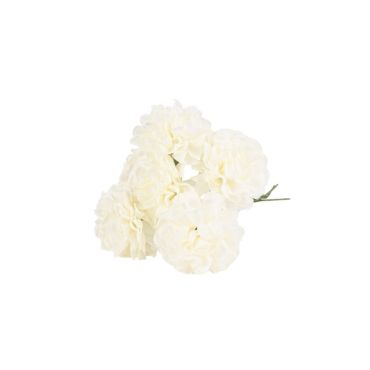 Un joli lot d'hortensias colorées pour votre événement | jourdefete.com