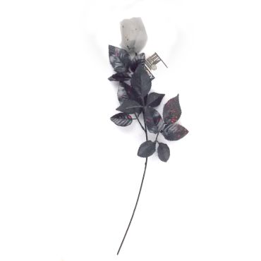 Rose blanche tâchée de sang