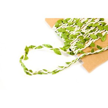 Ruban tressé ivoire à feuillage vert - 2 mètres