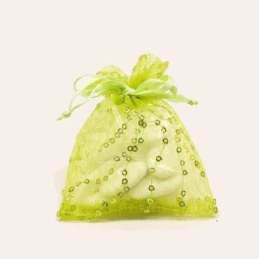 Lot de 6 Sachets Fantaisie Pailletés - Anis