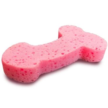 éponge zizi | jourdefete.com