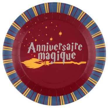 10 assiettes rondes en carton collection sorcier anniversaire magique