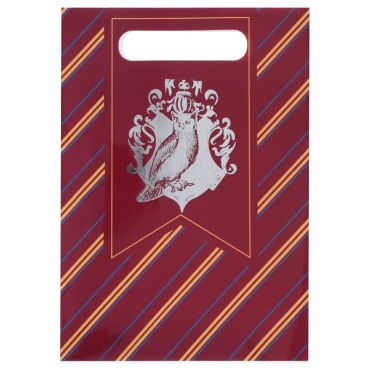 Lot de 10 sacs cadeaux - Sorcier | jourdefete.com