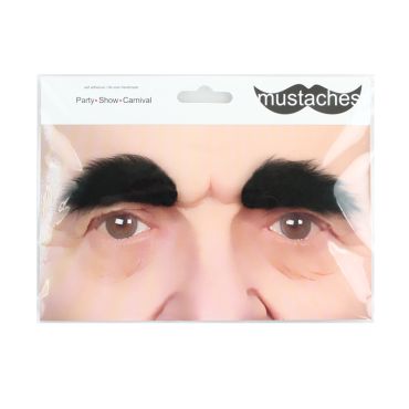 Paire de Sourcils Noirs Épais