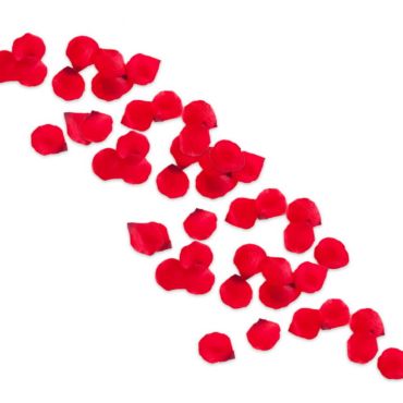 sachet de 150 pétales de roses rouges | jourdefete.com