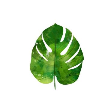 serviettes-cocktail-philodendron | jourdefete.com