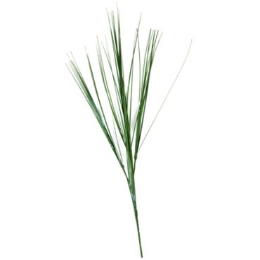 fleur-herbe-oignon-3-tiges|jourdefete.com