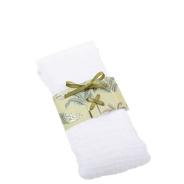 10 Ronds de Serviette Tropical Peacock Dégradé de Vert Amande et Or 16 x 4 cm + Ruban | jourdefete.com