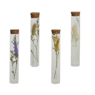 Tube en verre avec fleurs séchées - 18 cm - Couleur au choix | jourdefete.com