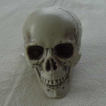 Tête de mort à poser - petit modèle