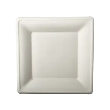 Assiette durable et biodégradable en canne à sucre 26 cm pour tous vos repas | jourdefete.com