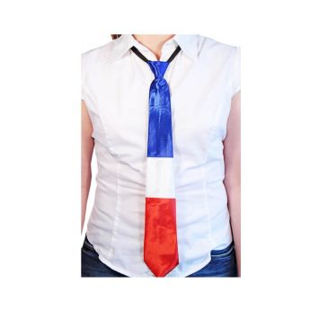 cravate adulte polyester tricolore france | jourdefete.com