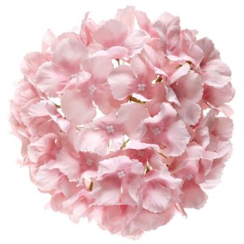 Boule d'Hortensia - Couleur au choix