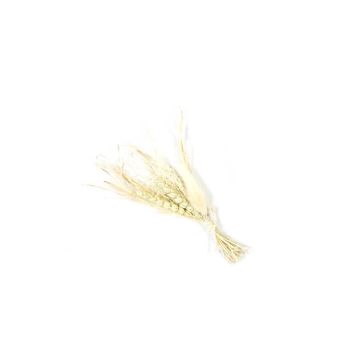 bouquet de ble seche 20 cm | jourdefete.com