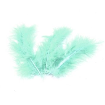 20 Plumes Décoratives - Vert d'Eau