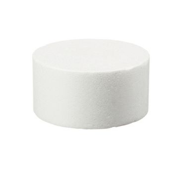 disque en polystyrene mesurant 10 cm x 5 cm | jourdefete.com