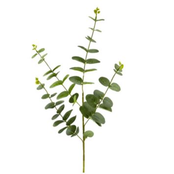 feuille-tige-eucalyptus-decoration | jourdefete.com