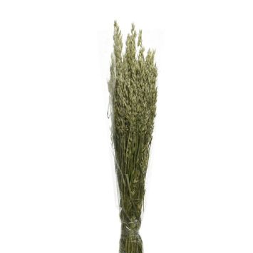 Bouquet d'herbes séchées - Modèle Aléatoire