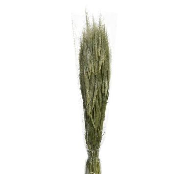 Bouquet d'herbes séchées - Modèle Aléatoire