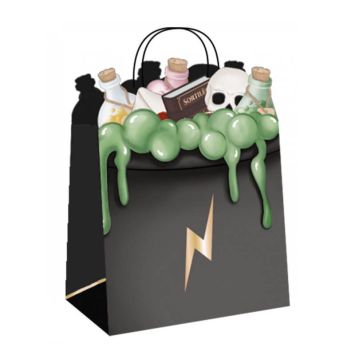 4 sacs cadeaux apprenti sorcier | jourdefete.com