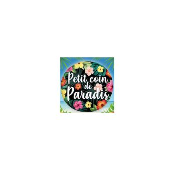 ballon-paradis-exotique-tropical | jourdefete.com