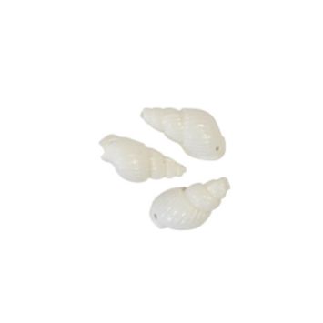Sachet de 24 Coquillages décoratifs tritons corylus petits modèles - crème