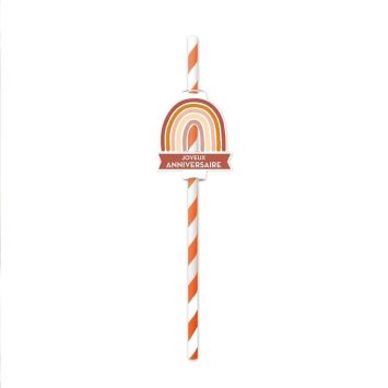 Pack de 12 pailles - Joyeux Anniversaire - Collection Terracotta | jourdefete.com