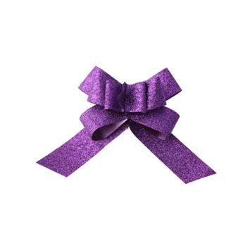 Lot de 2 nœuds automatiques pailletés - Prune | jourdefete.com