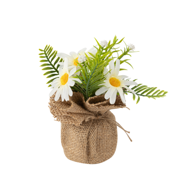 Composition marguerites blanches et feuillage vert avec jute - Ø 10 x 14,5 cm | jourdefete.com