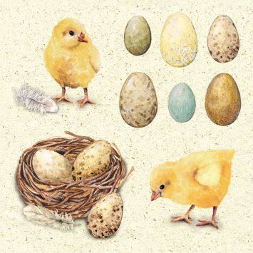 20 serviettes en papier - 33 x 33 cm - Atelier "Poussins dans la Nature"