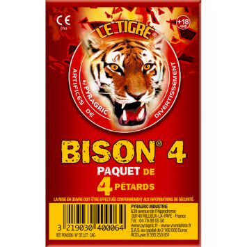Pack de 4 pétards Mega Démon | jourdefete.com
