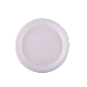 Assiettes éco-responsables en fibre de canne à sucre de 23 cm pour plats principaux | jourdefete.com