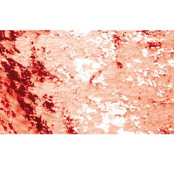 Chemin de table Eclat – Rouge