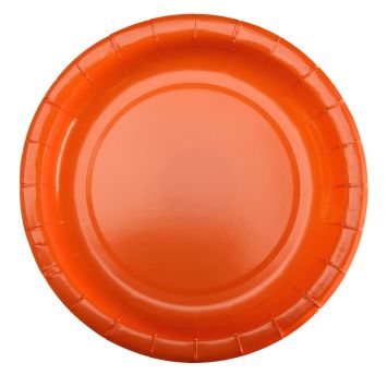 10 assiettes en carton - Diamètre 18 cm - Couleur au choix