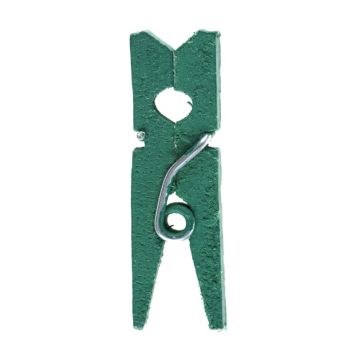 Un lot de 24 mini pinces en bois de couleur vert eucalyptus pour égayer votre table | jourdefete.com