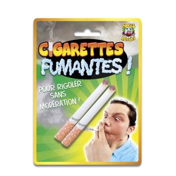 2 Fausses Cigarettes