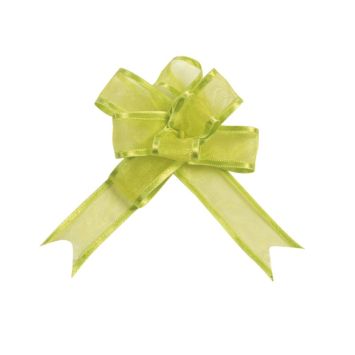 5 Nœuds Automatiques Organdi Petit Modèle - Vert