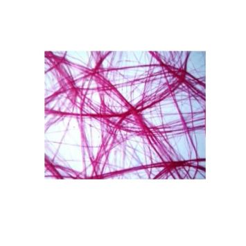 Chemin de Table Intissé 30 cm x 5 M – Fuchsia