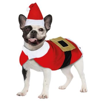 Chien déguisé en Père Noël avec bonnet et manteau rouge | jourdefete.com