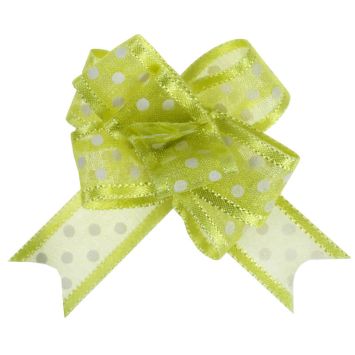 5 Nœuds à pois automatiques Organdi - Vert anis