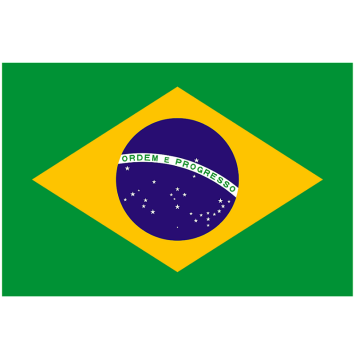 10 Drapeaux Brésil