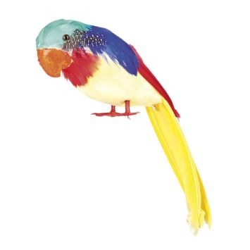 Perroquet Décoratif