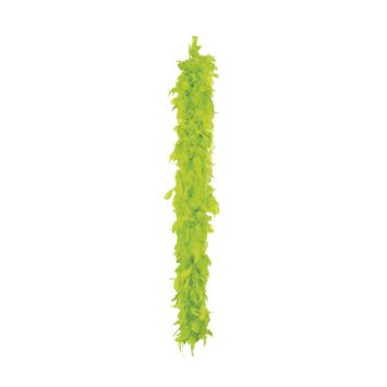 Boa Plumes Vert Anis