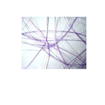 Chemin de Table Intissé 30 cm x 5 M - Lavande