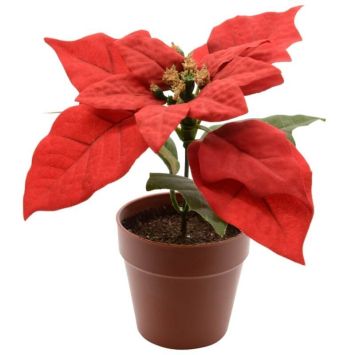 Décoration à Poser Noël - Poinsettia dans un Pot