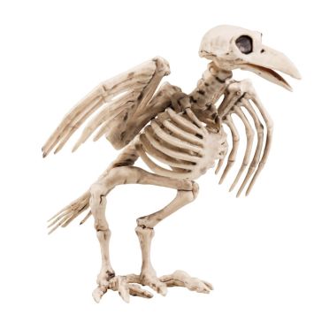 Corbeau Squelette